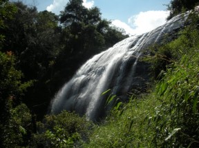 Lost In Coorg