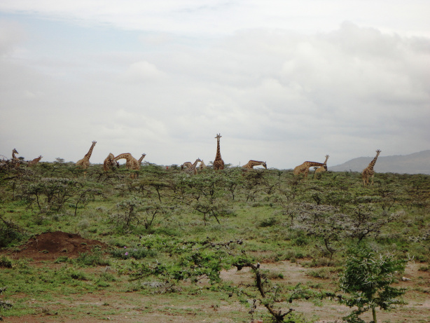 Masai Mara: Seven Life Lessons