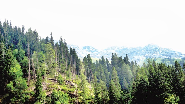 In The Solitary Heart Of A Himalayan Village